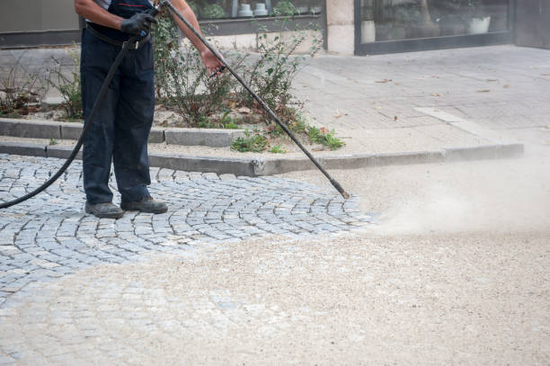 Best Driveway Pressure Washing  in East Mountain, TX